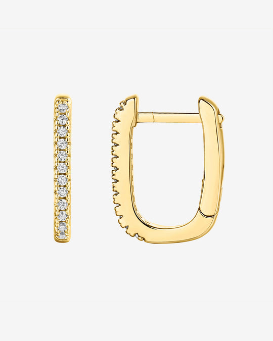 Arlo Hoops