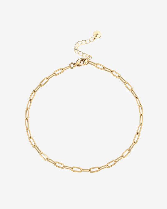 Paperclip Anklet