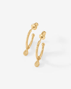 #Variant_Yellow Gold 