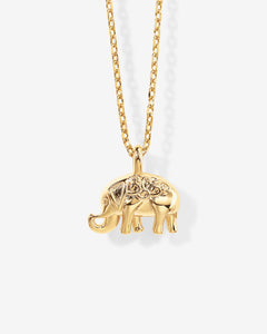 #Variant_Yellow Gold 