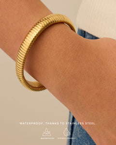 #Variant_Yellow Gold / 12 Millimeters