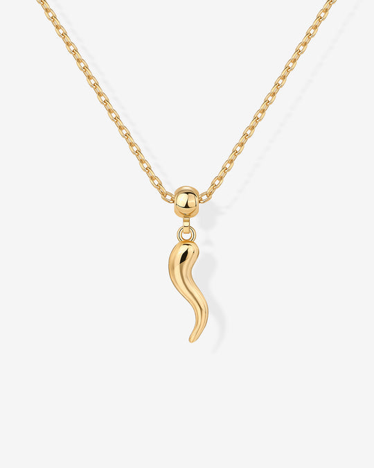 Spicy Charm Necklace