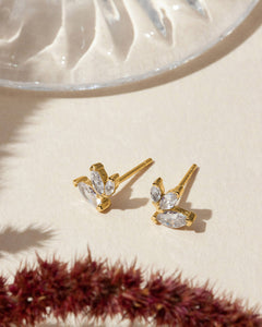 #Variant_Yellow Gold 