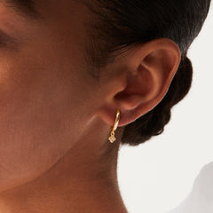 #Variant_Yellow Gold